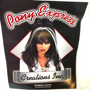 Elvira - Evilene -  Gothic  - Vampiress Wig #1940 NWT